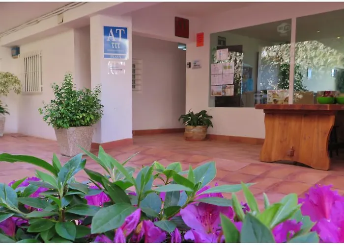 Apartamento Playa Torrecilla *